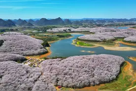 盘点！贵阳贵安赏花好去处→图片