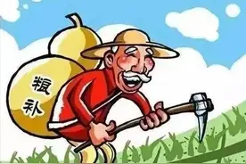 “农业税”已取消15年，农民又要开始交钱了？官方：试点图片