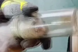 安徽阜阳 小猫头卡水杯，铲屎官无奈带到消防站求助图片