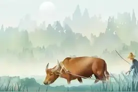 属羊的人和什么人相处不来？图片