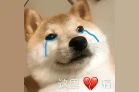 皮肤出油怎么办？一招教你搞定大油田图片