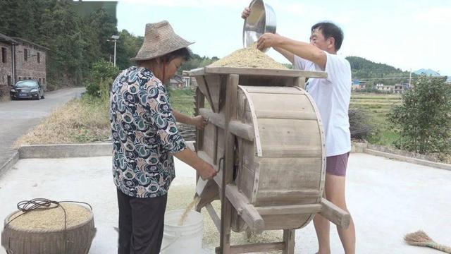 秋收季节,农村收稻谷用到的12种老物件,你家还有吗?满满的回忆