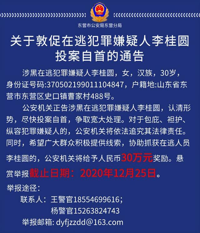 山东90后女黑老大李桂圆:靠美貌为祸东营,警方悬赏30万抓捕她