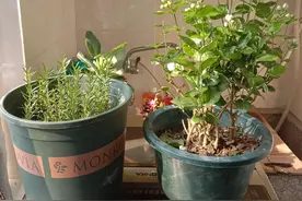 护工那些事图片