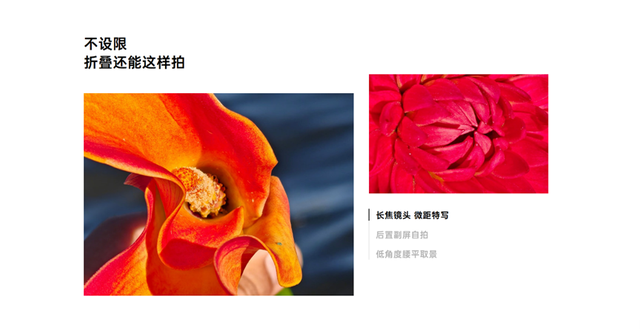 到底什么折叠才是主力之选？三种形态旗舰折叠你Pick谁？