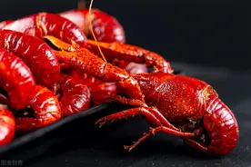 小龙虾配啤酒引发痛风？小龙虾还能吃吗？盘点小龙虾的5大传言图片