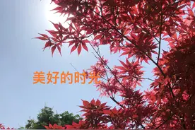 一根用过的牙签图片