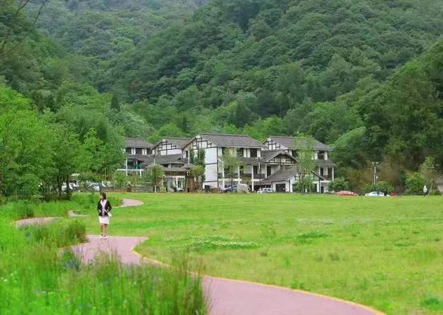 四川省民生研究会新媒体中心-官网