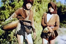 1979年，越南女兵对我军使阴招，脱衣检查无效，张万年想出3妙招图片