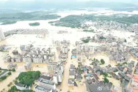 英德都这样了还不准她求救吗？图片