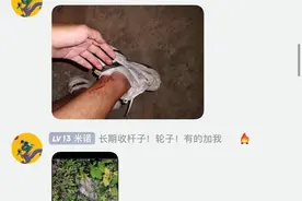 男子夜钓被银环蛇咬伤，群里留下救命两字，钓友：发消息他没回图片