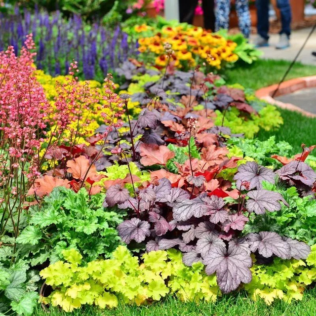 「景观手绘」阴生花境植物组团如何画