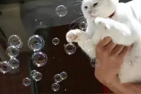 配自己照片的文案图片