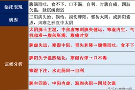 中医状元：六经辩证之太阴、少阴和厥阴的三阴合集图片