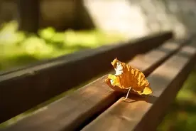 儿孙身上有这些特征，往往是有出息的征兆，能成大器图片