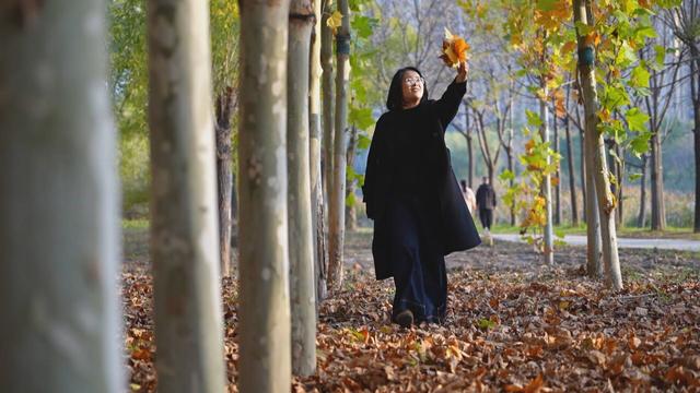 菏泽成武：法桐披金妆胜画 秋色流韵诗韵长