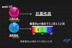 食话实说 | 蜜蜂吃不完的蜂蜜会变质吗？图片