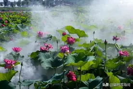 36句关于山的经典古诗词，山原来也可以这么美，你最喜欢哪一句？图片