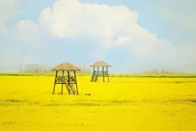 农村人用土方法鳝鱼血治疗嘴巴歪斜图片
