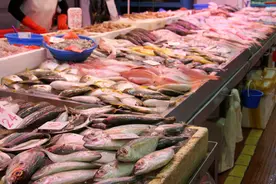 哪的“带鱼”最好吃？经过评比，这5个地方较为出名，有你家乡吗图片