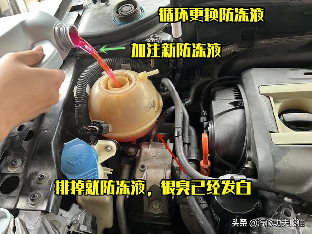 天塌了，新车腰斩二手车没人要，粉丝抄底二手迈腾，再开十年真香