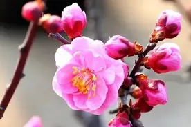 命苦的人，都喜欢做以下几件事图片