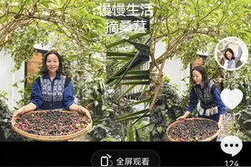 江一燕定居农村，携婆婆女儿在院子摘桑葚，住双层瓦片房超接地气图片