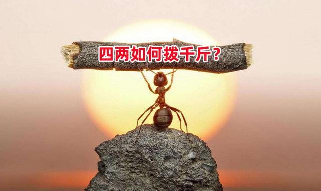 ������������ǧ������¼�Ӫ����׬3��