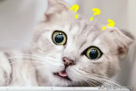 人人都说好的股票，却为什么不涨？图片