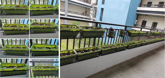 四川省民生研究会新媒体中心-官网