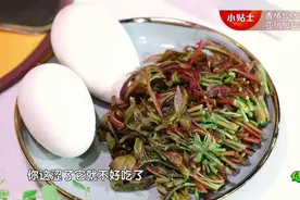 春天吃“春菜”，生阳气、理肝气、健脾和胃~图片