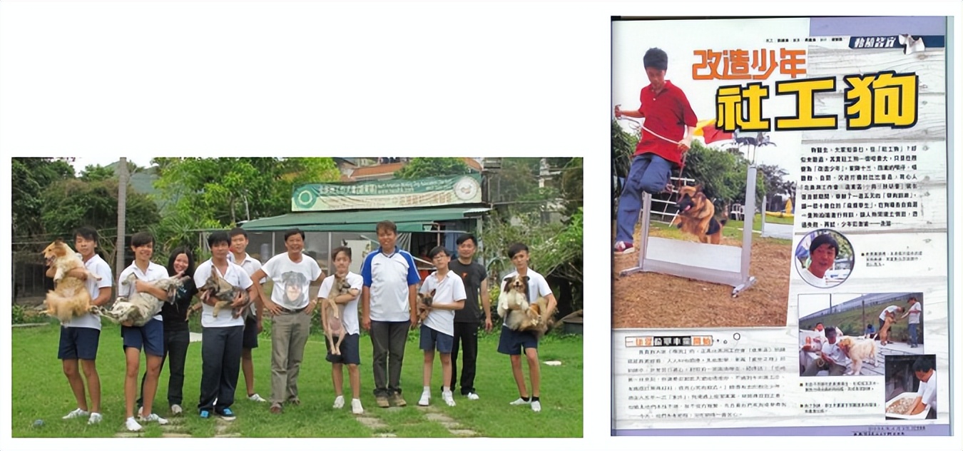 期待揭晓！国际潮宠展联合宠知源独家展示宠物犬起源的宝藏资料！