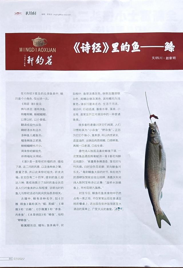《诗经》里的鱼—鲦