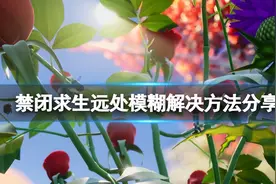 《禁闭求生》远处模糊处理方法解析图片