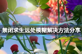 《禁闭求生》远处模糊处理方法解析图片