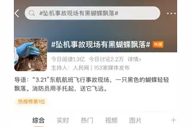 在MU5735事故救援现场，发现一只黑蝴蝶图片