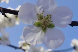 沈阳市户籍人员办理的残疾证都有什么用？图片