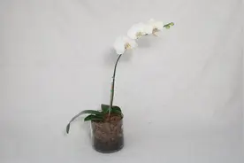 化繁为简图片
