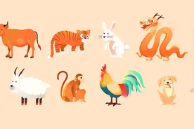 涨知识了 原来十二生肖也分阴阳图片