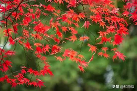 原来人生的结局，都藏在选择里，越早明白越好图片