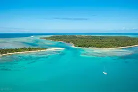 马达加斯加的四种神奇动物，最后一个少有人知道图片