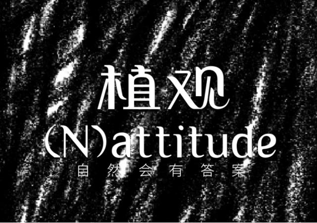 孕期还跟风乱用洗发水？阿道夫脱发不控油，飘柔控油但长头屑