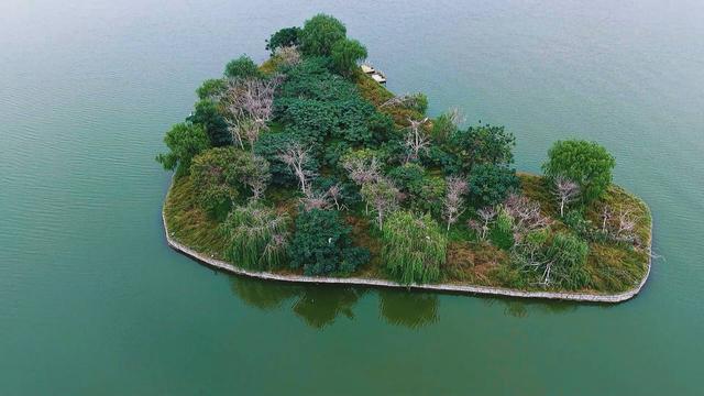菏泽成武：雨后文亭湖 薄纱漫卷的水韵朦胧