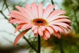 真正心眼坏的人，往往喜欢向你打听三件事，要小心了图片