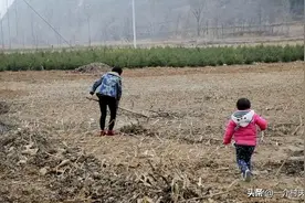 一户一田要来了？多地开始“一块田”试点！承包地会打乱重分吗？图片