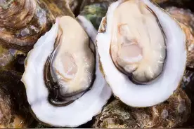 生蚝没有寄生虫吗，为什么就可以生吃了？图片