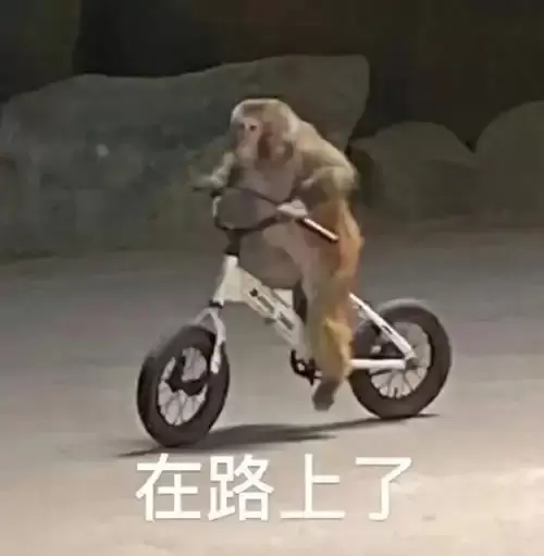 神评论：涩涩是第一生产力？《剑星》还没发售，成人向MOD已霸榜