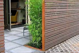 小院中的竹子总是串根？这几个方法帮你有效防止竹子根蔓延图片