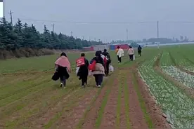 富士康返乡事件：管理失职的巨大灾难图片