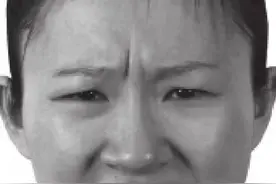 第五章-厌恶的表情背诵图片